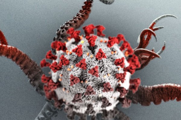 Кракен ссылка официальная холодильник