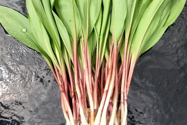 Кракен актуальная ссылка кухонная техника