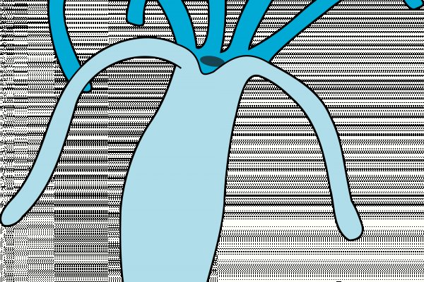 Кракен как зайти домашнее оборудование
