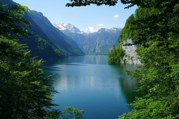 Вход kraken микроволновая печь