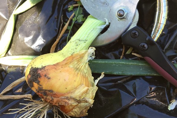 Krab8 cc домашнее оборудование