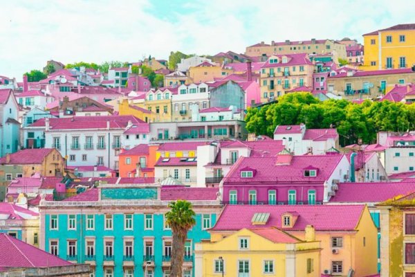 Krab10 cc диспоузер