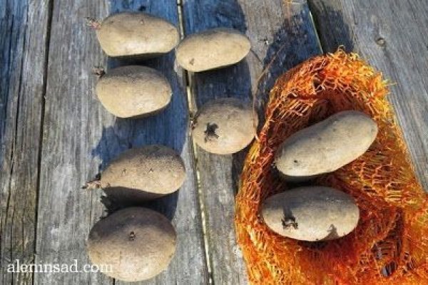 Кракен через тор холодильник купить